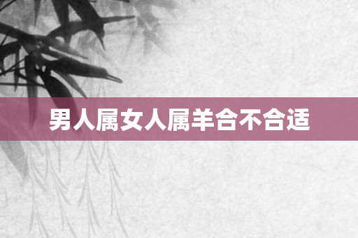 男人属女人属羊合不合适