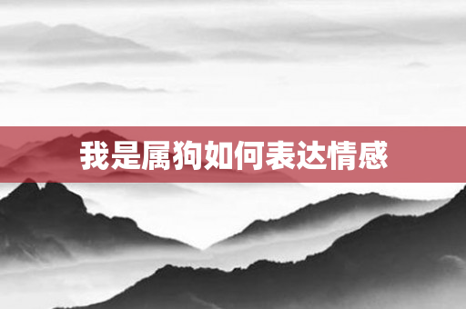 我是属狗如何表达情感