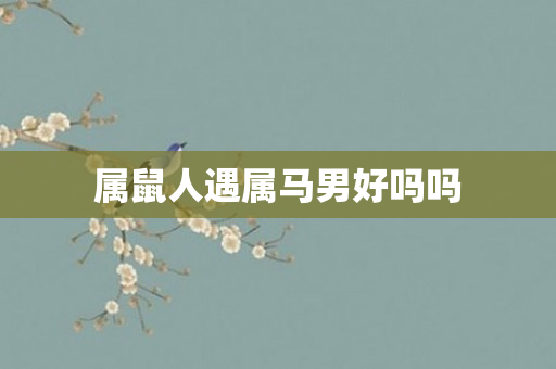 属鼠人遇属马男好吗吗