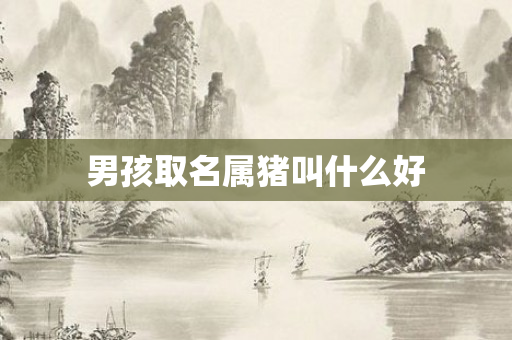男孩取名属猪叫什么好