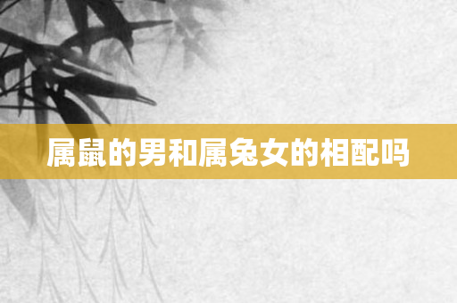 属鼠的男和属兔女的相配吗