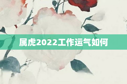 属虎2022工作运气如何