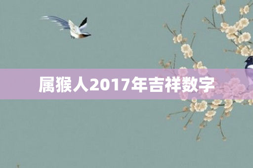 属猴人2017年吉祥数字