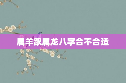 属羊跟属龙八字合不合适