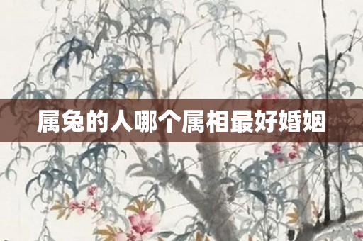 属兔的人哪个属相更好婚姻