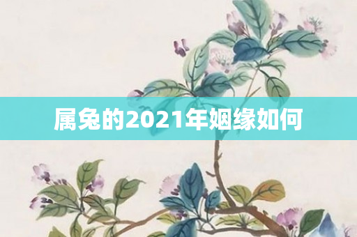 属兔的2021年姻缘如何