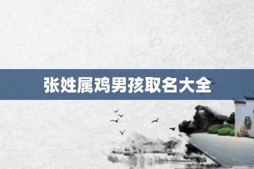 张姓属鸡男孩取名大全