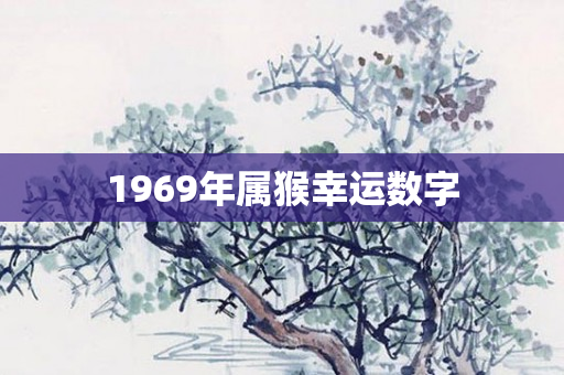 1969年属猴幸运数字