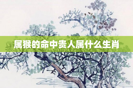 属猴的命中贵人属什么生肖