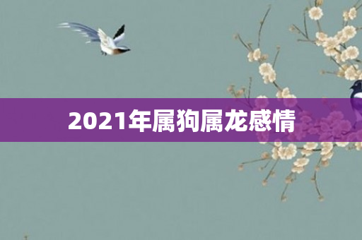 2021年属狗属龙感情