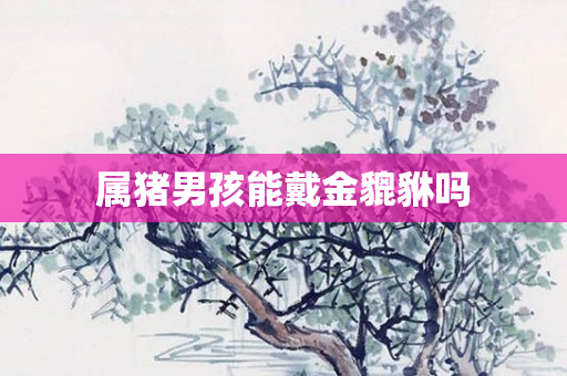 属猪男孩能戴金貔貅吗