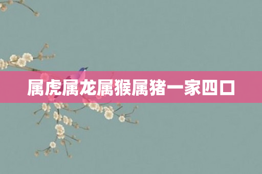属虎属龙属猴属猪一家四口