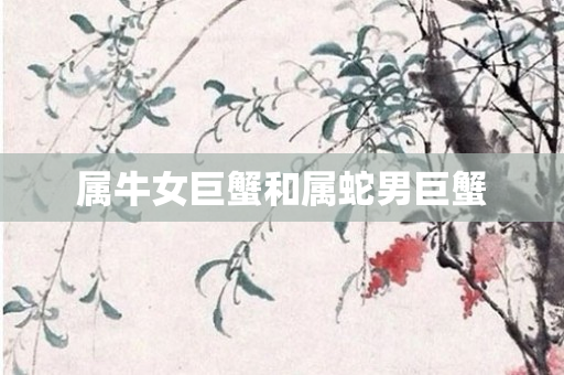 属牛女巨蟹和属蛇男巨蟹