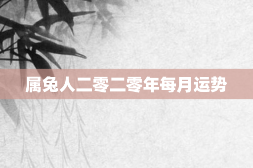 属兔人二零二零年每月运势