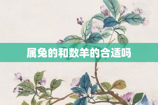 属兔的和数羊的合适吗