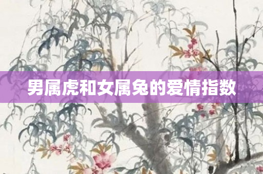 男属虎和女属兔的爱情指数