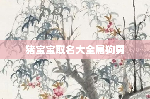 猪宝宝取名大全属狗男