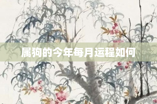 属狗的今年每月运程如何