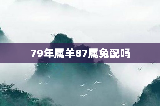 79年属羊87属兔配吗