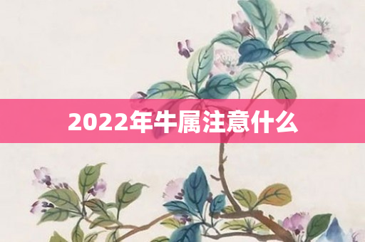 2022年牛属注意什么