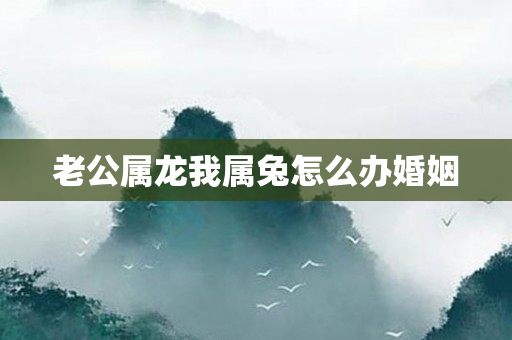 老公属龙我属兔怎么办婚姻