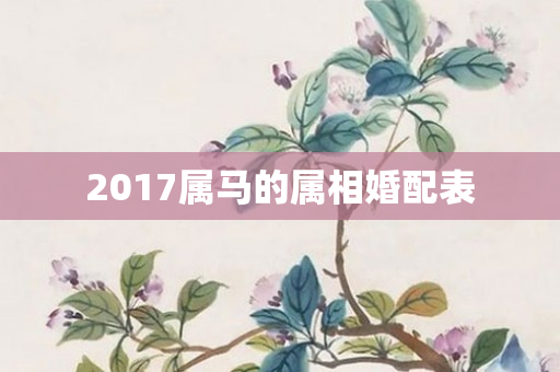 2017属马的属相婚配表
