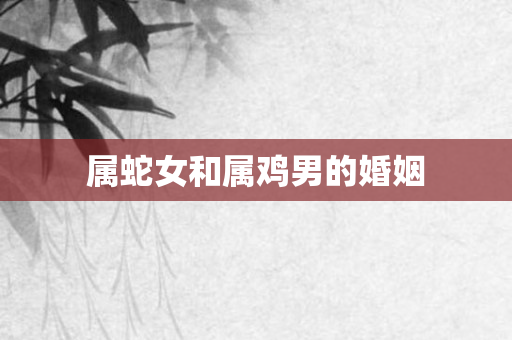 属蛇女和属鸡男的婚姻