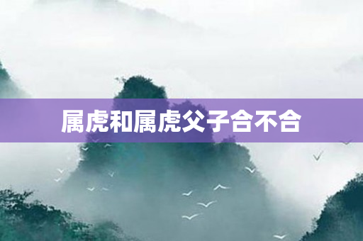 属虎和属虎父子合不合