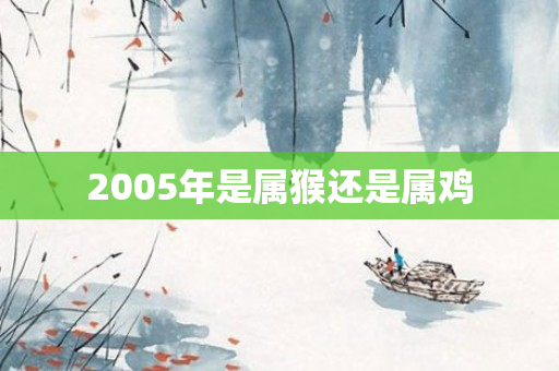 2005年是属猴还是属鸡