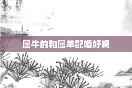 属牛的和属羊配婚好吗