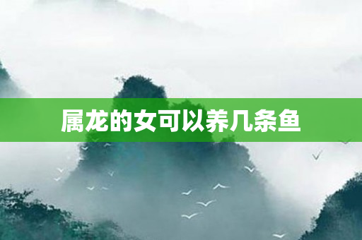 属龙的女可以养几条鱼