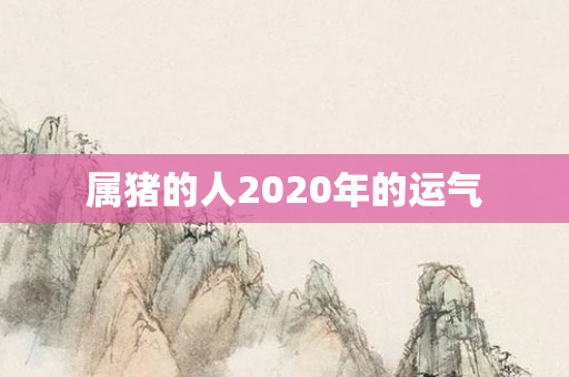 属猪的人2020年的运气