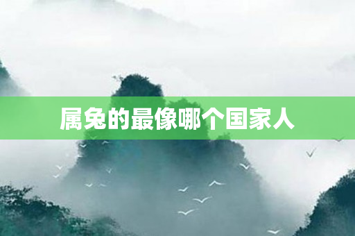 属兔的最像哪个国家人