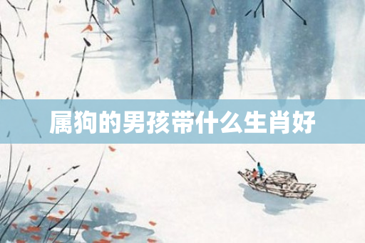 属狗的男孩带什么生肖好