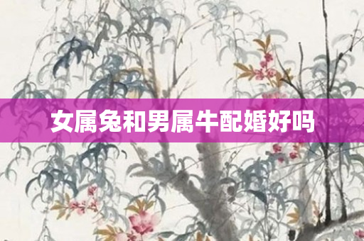 女属兔和男属牛配婚好吗