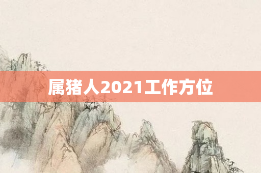 属猪人2021工作方位