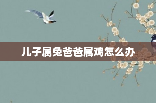 儿子属兔爸爸属鸡怎么办