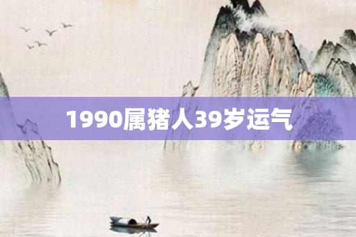 1990属猪人39岁运气