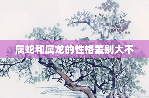 属蛇和属龙的性格差别大不