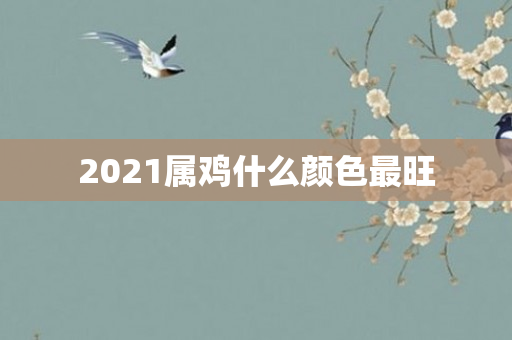 2021属鸡什么颜色最旺