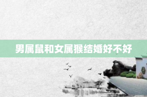 男属鼠和女属猴结婚好不好