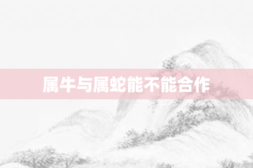属牛与属蛇能不能合作