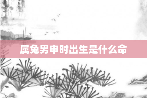 属兔男申时出生是什么命