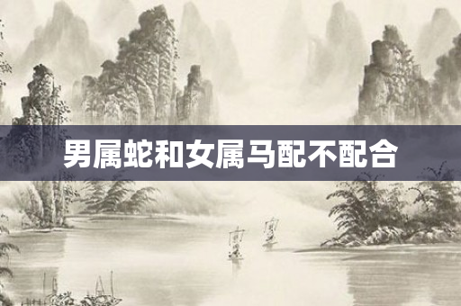男属蛇和女属马配不配合