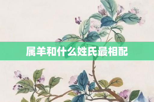 属羊和什么姓氏最相配