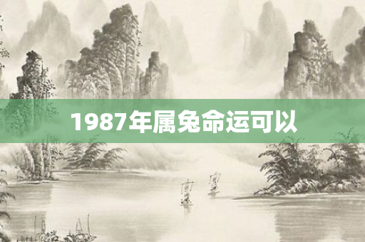 1987年属兔命运可以