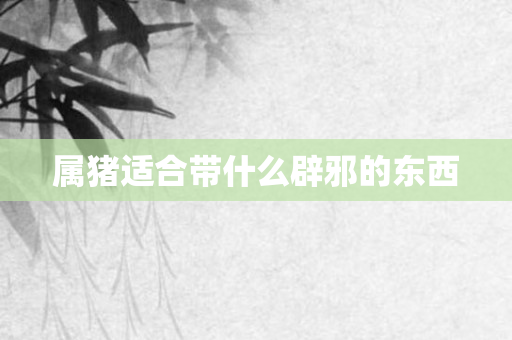 属猪适合带什么辟邪的东西