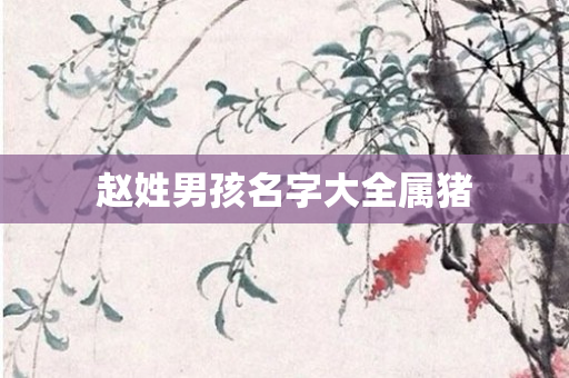 赵姓男孩名字大全属猪