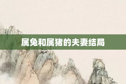 属兔和属猪的夫妻结局
