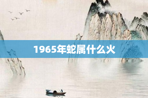 1965年蛇属什么火